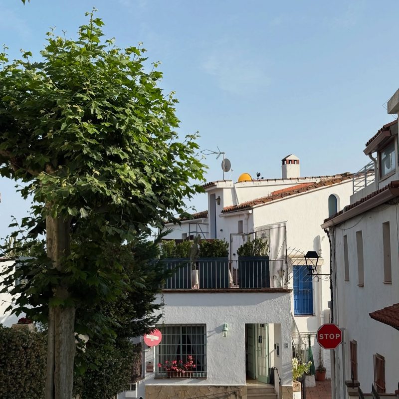 504330927_17870442606383172_5939951637890810507_n